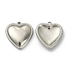 Non-Tarnish 304 Stainless Steel Pendants STAS-E191-17P-01-1