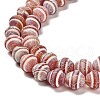Dyed Natural Weathered Agate Beads Strands G-G203-04-4