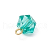 Transparent Acrylic with Iron Pendants PALLOY-JF03680-01-5