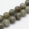 Natural Labradorite Bead Strands G-O155-05A-4mm-1