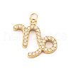 316 Stainless Steel Micro Pave Cubic Zirconia Pendants STAS-K284-01E-G-1