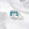Natural Apatite Beads with Solid Round Brass Beads and Eco-Friendly Copper Wire Rings RJEW-TA00183-04-1