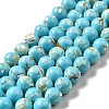Synthetic Turquoise and Sea Shell Assembled Beads Strands G-D482-01A-07-2