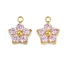 304 Stainless Steel Micro Pave Cubic Zirconia Charms STAS-B088-01G-01-1