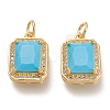 Brass Glass Charms X-ZIRC-F116-09D-G-1