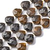 Natural Tiger Eye Beads Strands G-P570-E04-02-2