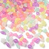 Luminous Transparent Acrylic Beads LACR-Q001-02-2