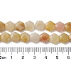 Natural Topaz Jade Beads Strands G-K359-C19-01-5