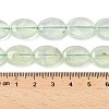 Natural Prehnite Beads Strands G-F790-A02-02-5