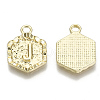 Alloy Pendants PALLOY-N157-003J-NR-3