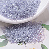 MIYUKI Delica Beads SEED-J020-DB0241-1