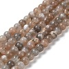 Natural Grey Moonstone Beads Strands G-F632-24-02-01-2