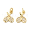 Brass Micro Pave Cubic Zirconia Pendants KK-U073-08G-1