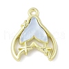 Zinc Alloy Pendants FIND-C067-01A-G-1