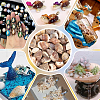   170G Natural Spiral Shell Beads BSHE-PH0001-44-7