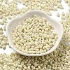 Baking Paint Glass Seed Beads SEED-K009-01A-22-2