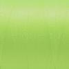 Nylon Sewing Thread NWIR-N006-01F2-0.2mm-2