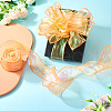 10 Yards Polyester Iridescent Ribbon OCOR-TAC0017-04C-7