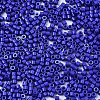 11/0 Grade A Glass Seed Beads X-SEED-S030-1024-2