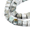 Natural Variscite Beads Strands G-T140-41A-3