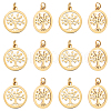 Unicraftale 304 Stainless Steel Pendants STAS-UN0060-03G-1