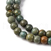 Natural Shoushan Jade Beads Strands G-L624-A01-4mm-3
