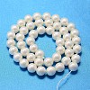 Round Shell Pearl Bead Strands BSHE-L011-10mm-A013A-3