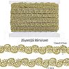 Metallic Polyester Ribbon OCOR-WH0065-07A-2