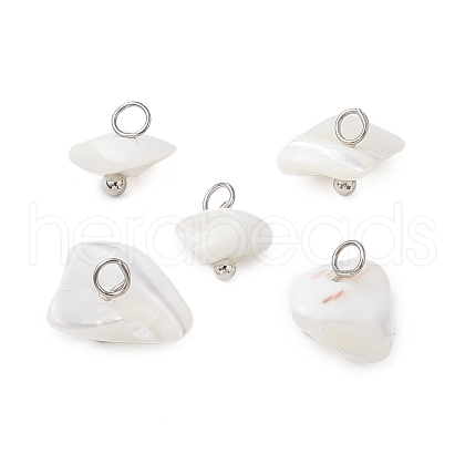 Natural Trochus Shell Nuggets Charms PALLOY-JF03439-02-1