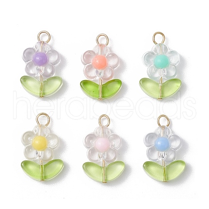 Transparent Acrylic Pendants PALLOY-JF03713-02-1
