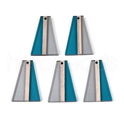 Transparent Resin & Wood Pendants RESI-T057-61A-1