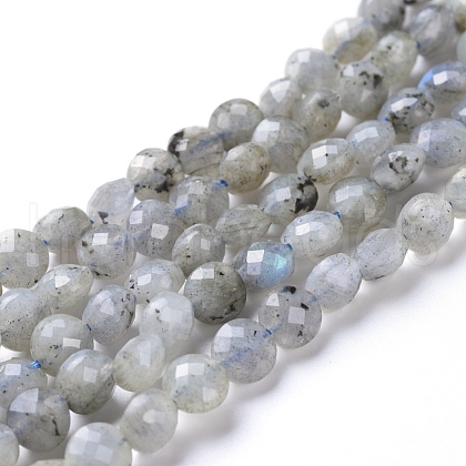 Natural Labradorite Beads Strands G-L538-011-1