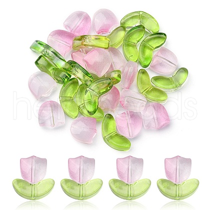 30Pcs 2 Style Transparent Glass Beads GLAA-YW0001-85-1