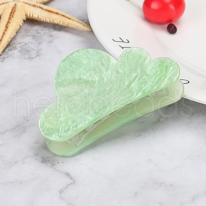Acrylic Claw Hair Clips PW-WG4AAAE-02-1