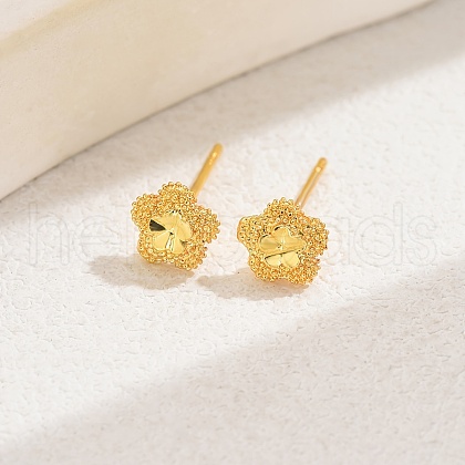 Fashionable Brass Stud Earrings YN8845-6-1