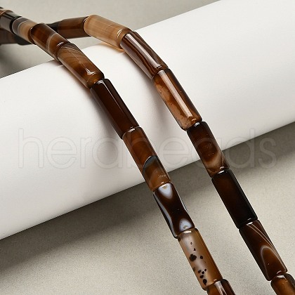 Dyed Natural Agate Beads Strands G-G203-01E-1