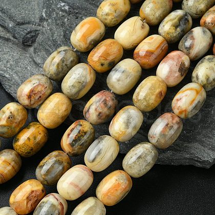 Barrel Shaped Gemstone Natural Crazy Lace Agate Beads Strands X-G-S114-08-1