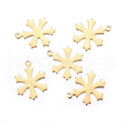 304 Stainless Steel Pendants X-STAS-O110-03G-1