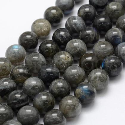 Natural Labradorite Beads Strands G-P322-31-12mm-1