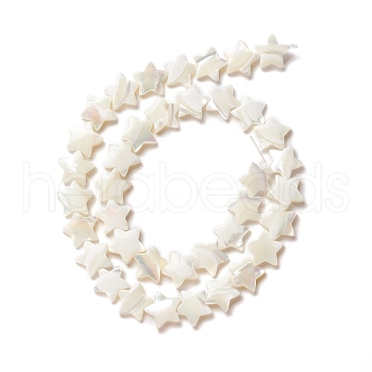 Natural Trochid Shell/Trochus Shell Beads SSHEL-O001-25D-01-1