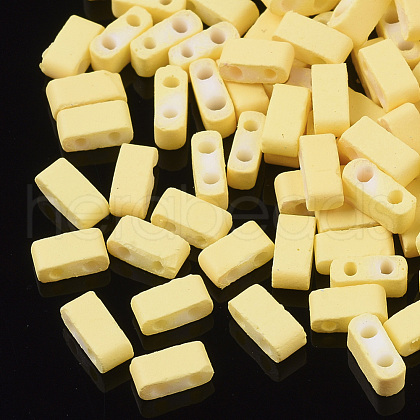2-Hole Glass Seed Beads X-SEED-S023-31B-11-1