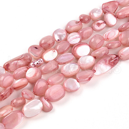 Natural White Shell Beads Strands SHEL-N036-21G-1