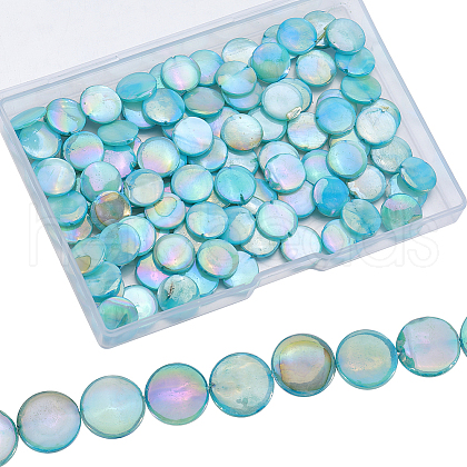 SUNNYCLUE 4 Strands Freshwater Shell Beads Strands SHEL-SC0001-48-1