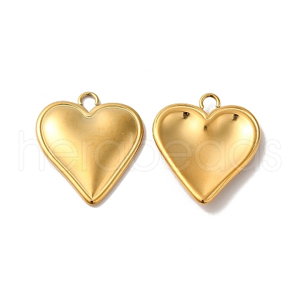 Ion Plating(IP) 304 Stainless Steel Pendants STAS-H212-35G-1