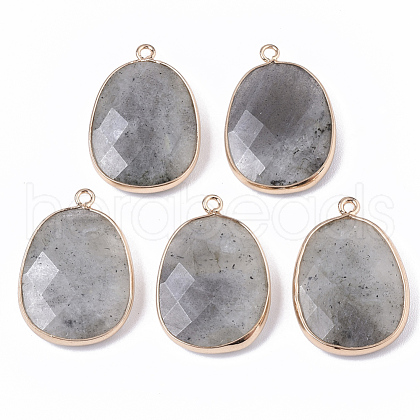 Natural Labradorite Pendants G-T131-08D-1