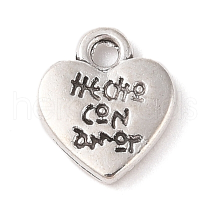 Tibetan Style Alloy Charms FIND-C060-053AS-1