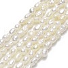 Natural Cultured Freshwater Pearl Beads Strands PEAR-J006-02A-1
