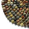 Natural Ocean Jasper Beads Strands G-P573-A25-01-3