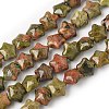 Natural Unakite Star Beads Strands G-Z080-A11-2