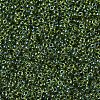 MIYUKI Round Rocailles Beads SEED-G007-RR0350-3